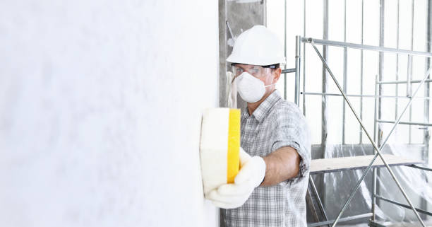 Why You Should Choose Our Mold Remediation Services in Kremmling, CO